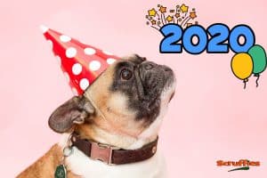 Happy New Year - 2020